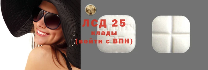 прущие грибы Медногорск