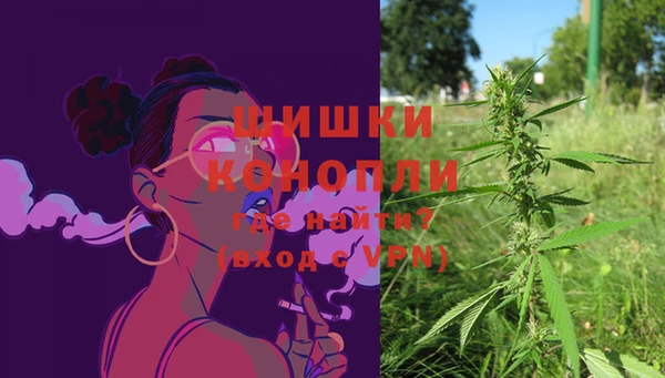 прущие грибы Мегион